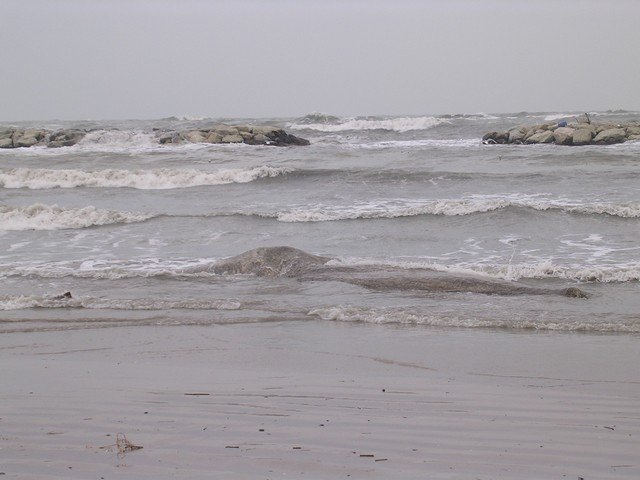 Soanne 2005 - 03